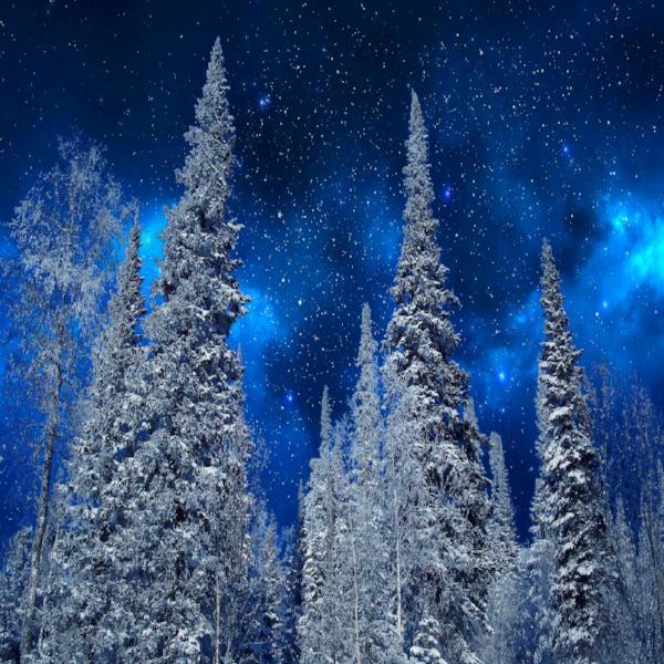 Winter Night Sky