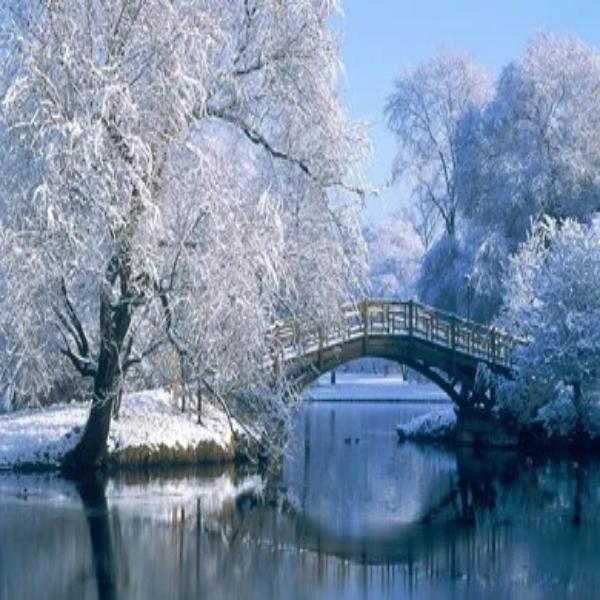 Winter Bridge